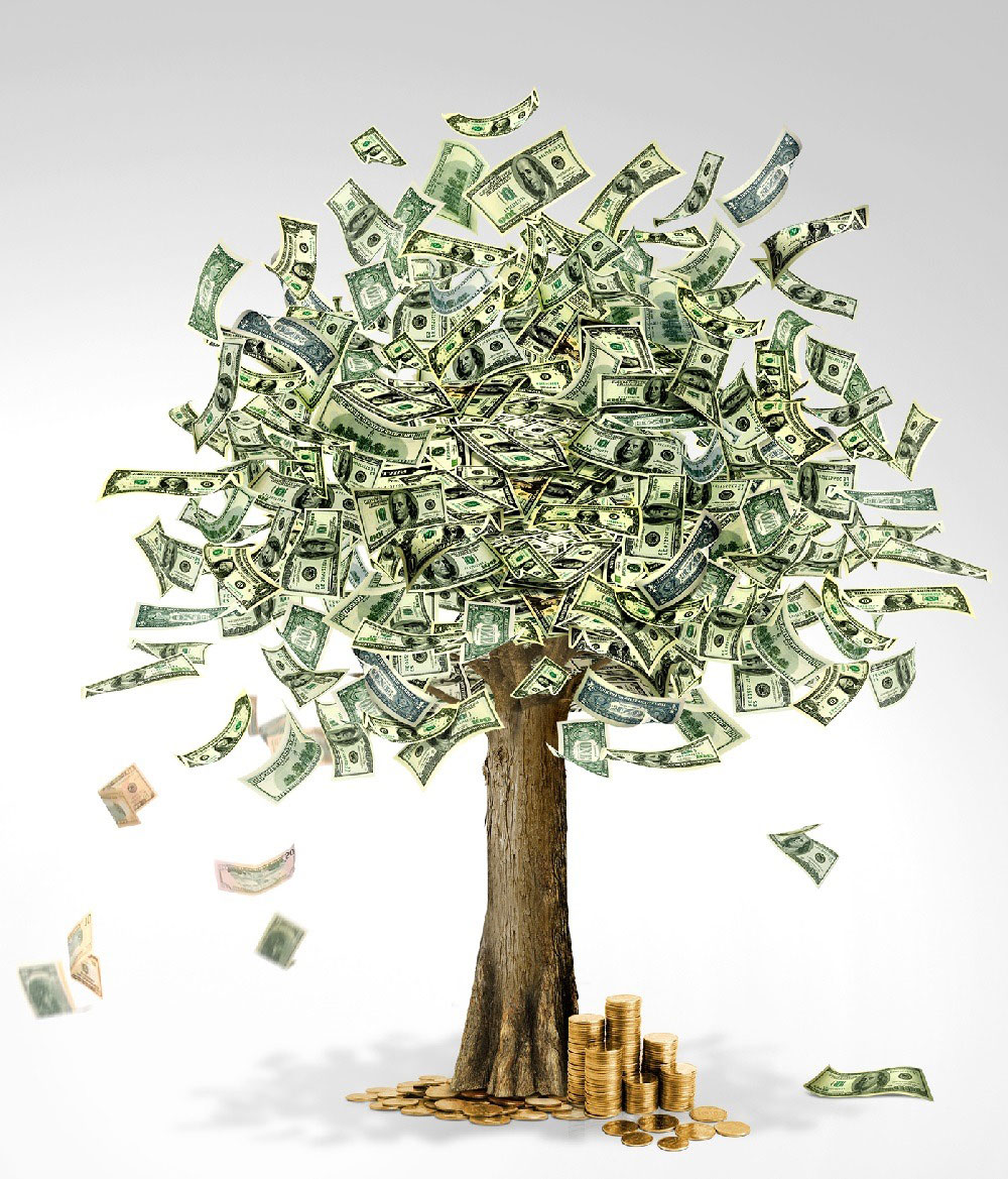 Tree made hot sale of money